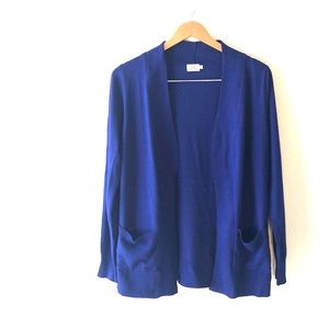 Blue Cardigan